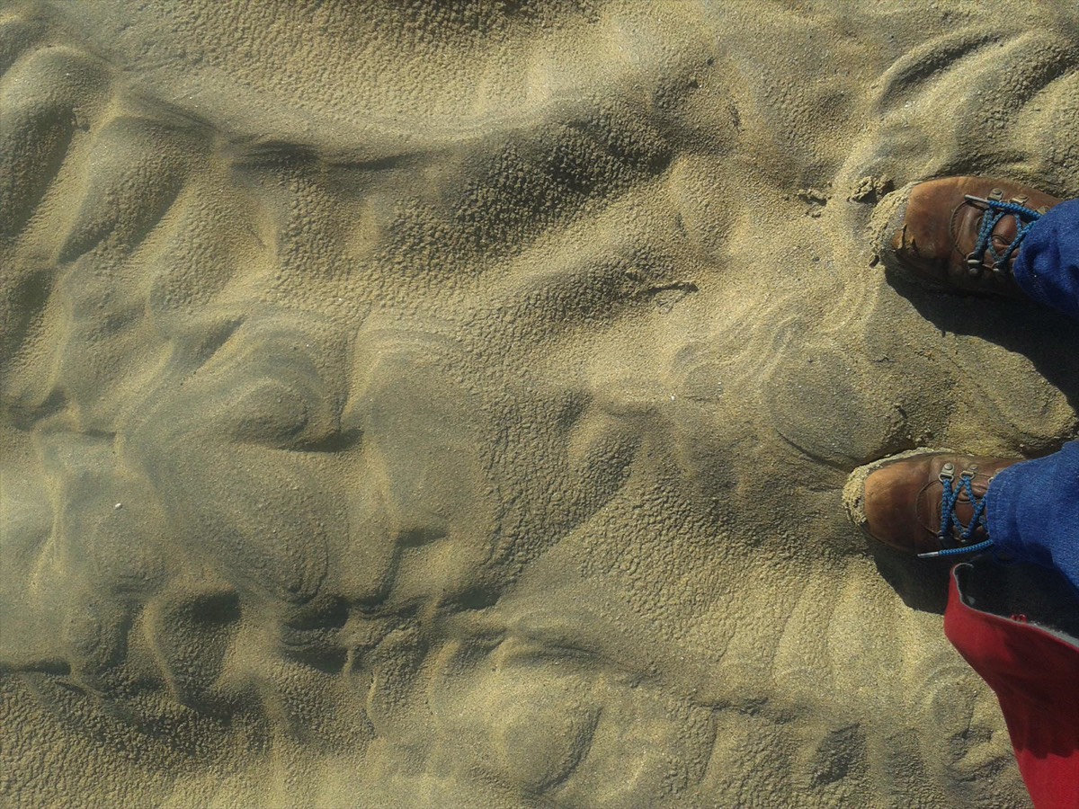 Catherine Nichols - Mini Sand Dunes
